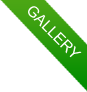 gallery-head
